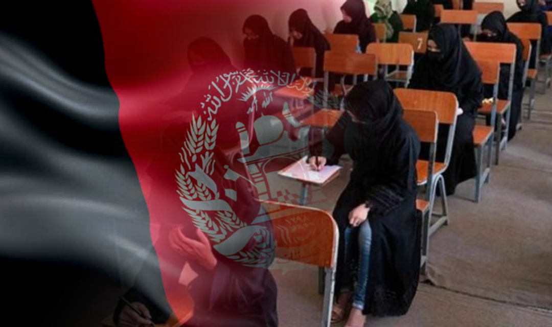 رسالة مؤسسة “شيرازي فونديشين” بمناسبة اليوم العالمي للتعليم واليوم الدولي لدعم الفتيات والنساء الأفغانيات